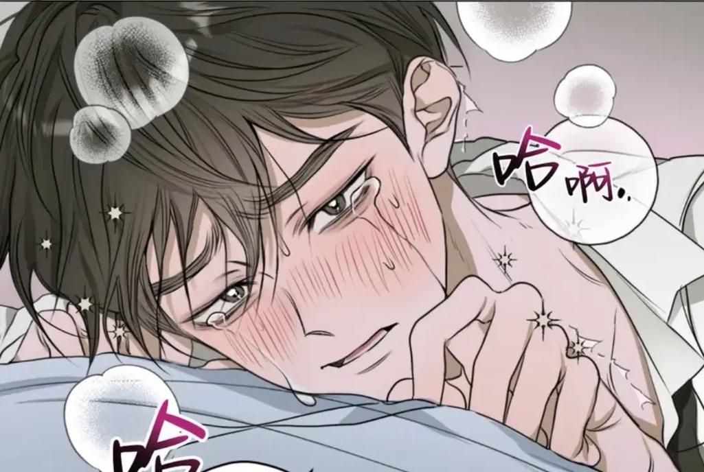 间谍过家家